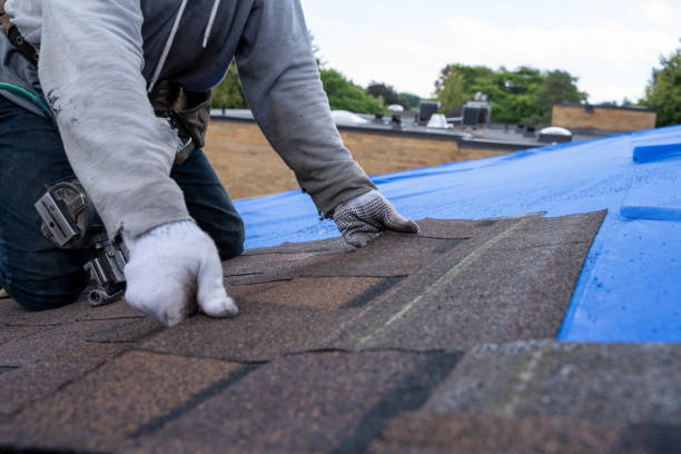Best New Roof Installation  in Diboll, TX