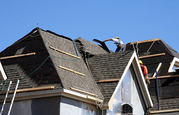 Best Gutter Installation and Roofing  in Diboll, TX